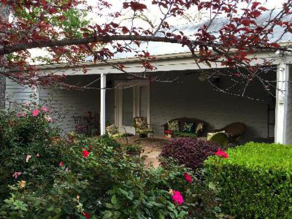 Comal Inn 新布朗费尔斯 客房 照片